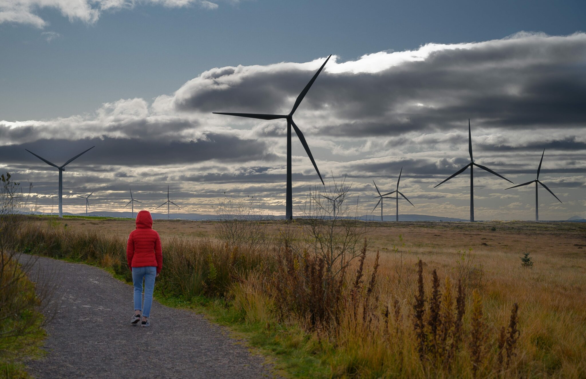 Wind Farm